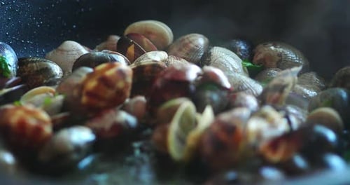 Authentic shot close up of housewife with wooden spoon is mixing the fresh clams during cooking th