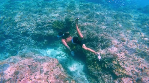 Un plongeur fait de la plongée en apnée dans la mer bleue sous l'eau près d'un récif corallien