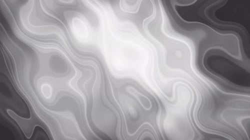 Abstract Fluid Gray Wavy Lines Background Animation