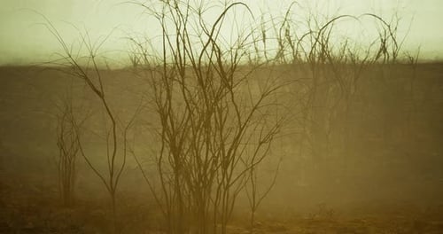 La poca luz captura la hierba seca y el paisaje brumoso durante las horas del crepúsculo