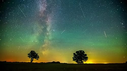 Timelapse shot of colorful night sky stars milky way with trees at background.