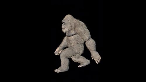 Gorillawalk 3