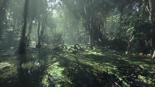 Tropical Jungle Swamp Nature Scene with Sun Rays