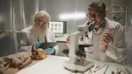 Scientists Analyzing Bones Under Microscope in Laboratory