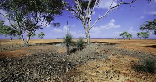 Expansive Desert Landscape with Sparse Vegetation Under a Clear Blue Sky