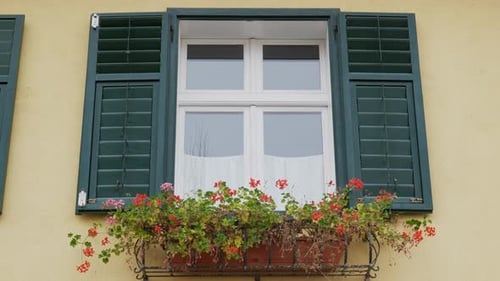 Open Shutters Window Of Old Building At Day Time. Flower Pot With Blossom Flowers And
Dried Flowers