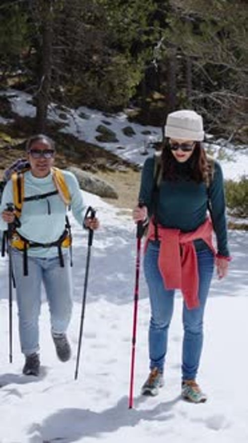 Hiker Walking in Snowy Mountain Forest Trail with Backpack and Trekking Poles