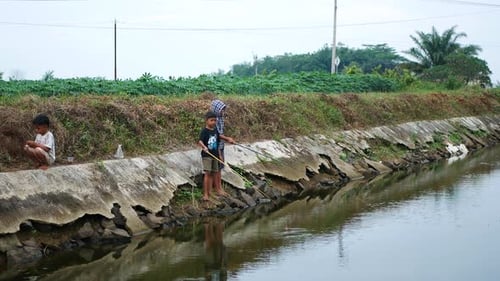 Asian children fishing in the afternoon