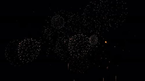 Dynamic Fireworks Display on Black for Festive Celebrations