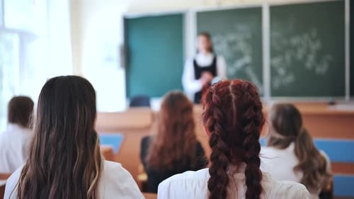 Students Raising Hands in a Bright Classroom