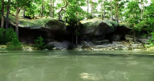 Lush Forest Landscape By Serene Water Reflecting Towering Trees