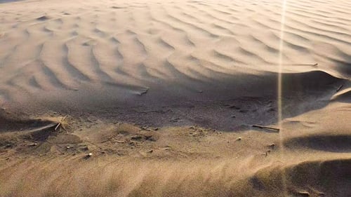 Sand particles blowing during dust storm at the sand dunes in desert.