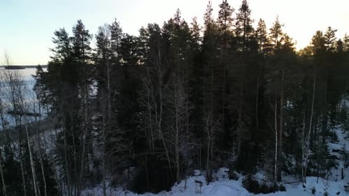 Aerial view of winter landscapes with snow-covered forest in Finland