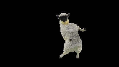 Funny Sheep Dancing Standing on Two Legs Alpha Channel