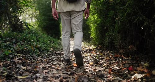 Wandern, Spazierengehen und Menschenbeine im Wald mit Bäumen für Urlaub, Abenteuer und Bewegung