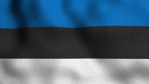 Realistic Waving Flag with Fabric Texture Animation