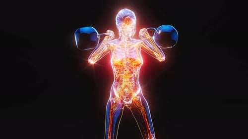 Glowing Human Anatomy Fitness Training with Weights