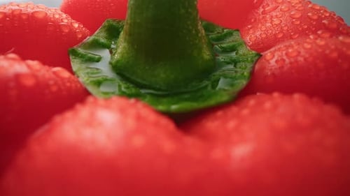 Extreme Close-Up of Fresh Red Bell Pepper with Water Droplets – 4K Footage
