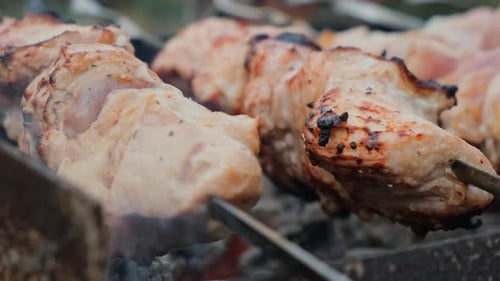 Shish Kebab on Grill Outside Fried Barbecue Kebab Meat Skewers Closeup