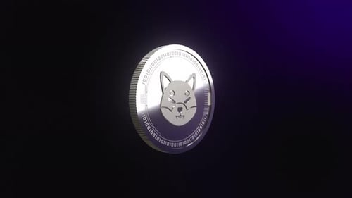 Metallic 3D Crypto Coin Spinning Animation