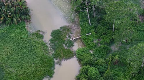 Aerial View of Collapsed Tree Across Riverbank Channel