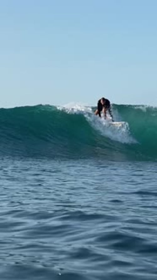 Surfer Rides a Wave on a Sunny Day