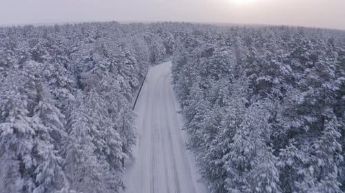 Luftaufnahmen eines Autos, das auf einer Straße in einer winterlichen Waldlandschaft fährt