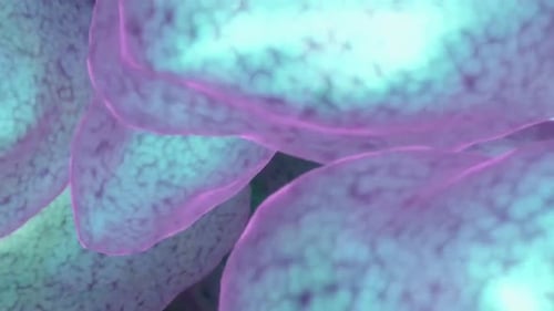 Abstract Microscopic Cell Movement Animation