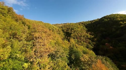 The Fpv Drone Flies Down Into the Mountain Over the Autumncolored Trees