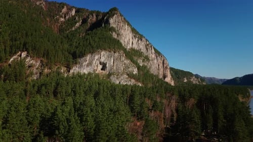 flying over the Altai forest with a view of a beautiful mountain on a sunny day