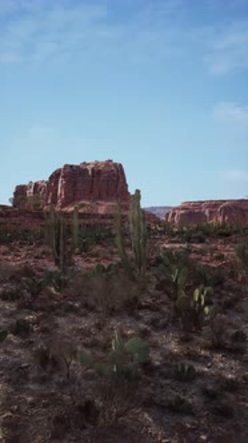 Majestic Desert Landscape With Cactus and Mountains