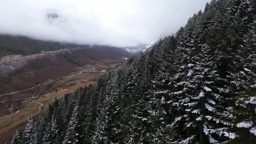 Aerial Drone Footage Over Dense Fog in the Forest in Pyrenees Mountains Baqueira Beret Catalonia