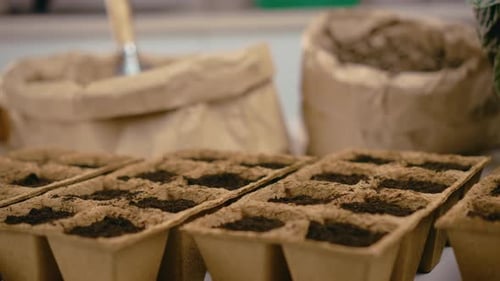 Eco Friendly Gumus Pots with Planted Vegetables Seeds in Fertility Soil for Next Transplanting Into