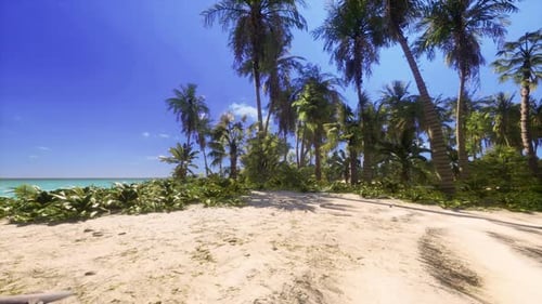 Animated 3D Tropical Beach Panorama with Palm Trees