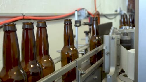 Beer Bottles Moving Along Factory Conveyor Belt