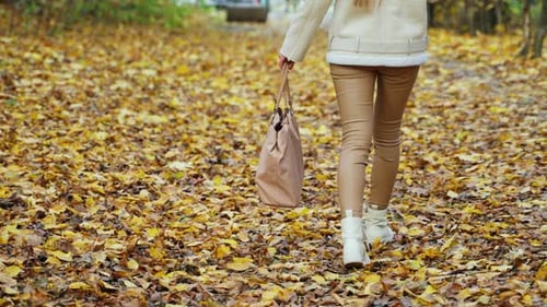 Female legs in white boots walk by the colorful carpet of leaves in the park.