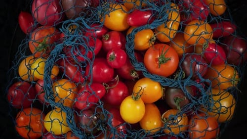 Colorful Tomatoes in a Rustic Net, Overhead Shot