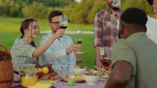 Friends Toasting Wine Glasses at Outdoor Picnic