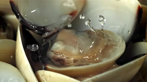 Des gouttes d'eau tombent sur une nouvelle vongole filmée par une caméra haute vitesse à 1000 images par seconde