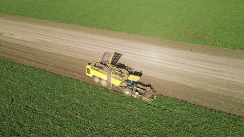 Aerial shot of a yellow beet harvester on a striped field.