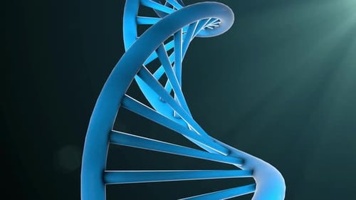 DNA Molecule Science, double helix strands, biological genetic heritage concept