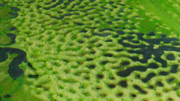 Aerial View of Serpentine Meanders, Nature Stock Footage ft. meanders ...