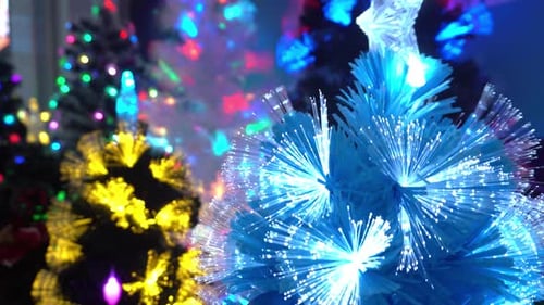 Colourful Christmas Trees in Close Up Shot