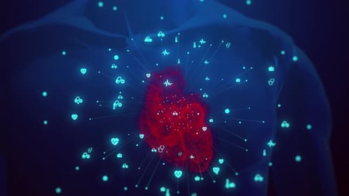 Human Health Heart