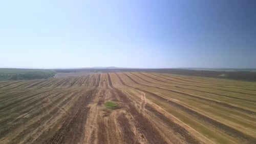 Tractor working on the field doing tillage with cultivator