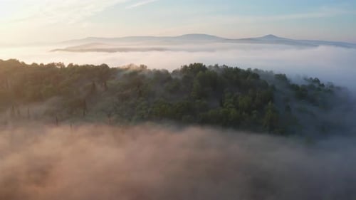 Beautiful Aerial Panorama of Sunrise Over Foggy Forest in the Mountains
