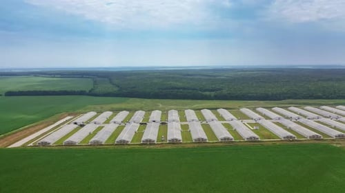 Rows of white buildings of industrial complex outdoors.