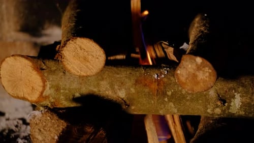 Des bûches de bois sont incendiées dans la cheminée