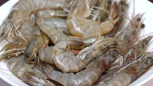 in the Philippines, where it is highly cherished. The shrimp, fresh and plentiful, is arranged