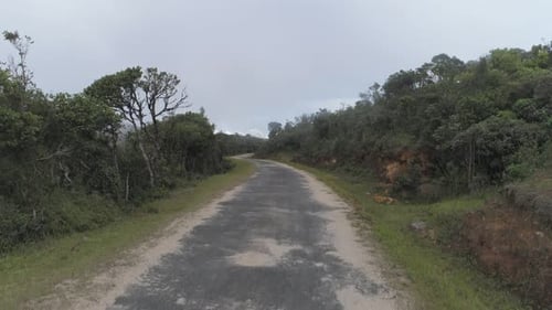 Empty Country Road Winds Through Misty Mountains